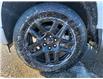 2025 Chevrolet Silverado 1500 RST (Stk: 1161763) in Newmarket - Image 9 of 20