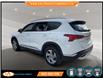 2023 Hyundai Santa Fe Preferred (Stk: 553277) in Lower Sackville - Image 6 of 23
