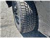 2024 Ford F-150 XLT (Stk: 57B05253) in Penticton - Image 3 of 20