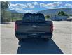 2024 Ford F-150 XLT (Stk: 57B05253) in Penticton - Image 6 of 20