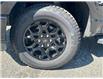 2024 Ford F-150 XLT (Stk: 57B05253) in Penticton - Image 7 of 20