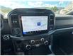 2024 Ford F-150 XLT (Stk: 57B05253) in Penticton - Image 12 of 20