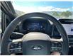 2024 Ford F-150 XLT (Stk: 57B05253) in Penticton - Image 14 of 20