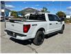 2024 Ford F-150 STX (Stk: 57E70867) in Penticton - Image 2 of 19