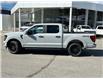 2024 Ford F-150 STX (Stk: 57E70867) in Penticton - Image 5 of 19