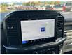 2024 Ford F-150 STX (Stk: 57E70867) in Penticton - Image 12 of 19