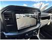 2024 Ford F-150 STX (Stk: 57E70867) in Penticton - Image 13 of 19