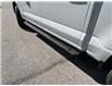 2024 Ford F-150 STX (Stk: 57E70867) in Penticton - Image 19 of 19
