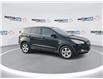 2014 Ford Escape SE (Stk: 240522C) in Windsor - Image 2 of 18