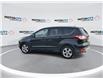 2014 Ford Escape SE (Stk: 240522C) in Windsor - Image 6 of 18