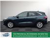 2022 Ford Escape SE (Stk: PR51377) in Windsor - Image 3 of 30