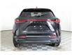 2025 Lexus NX 350h  (Stk: 14109570) in Markham - Image 6 of 28