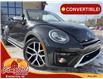 2019 Volkswagen Beetle 2.0 TSI Dune (Stk: A-501246) in Moncton - Image 1 of 20