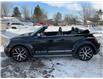 2019 Volkswagen Beetle 2.0 TSI Dune (Stk: A-501246) in Moncton - Image 4 of 20