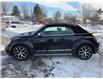 2019 Volkswagen Beetle 2.0 TSI Dune (Stk: A-501246) in Moncton - Image 5 of 20