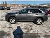 2022 Toyota RAV4 LE (Stk: 250026) in Ottawa - Image 6 of 25