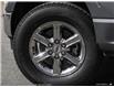 2025 Ford F-150 XLT (Stk: XFP476) in Sarnia - Image 8 of 25