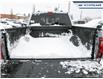 2025 Ford F-150 XLT (Stk: 25F1119) in Newmarket - Image 11 of 26