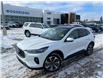 2024 Ford Escape Platinum (Stk: 19115) in Calgary - Image 2 of 24