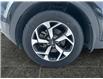 2021 Kia Sportage LX (Stk: P40014) in Saskatoon - Image 15 of 15