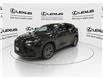 2025 Lexus NX 250 Base (Stk: 14108897) in Markham - Image 5 of 15