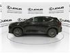 2025 Lexus NX 250 Base (Stk: 14108897) in Markham - Image 6 of 15
