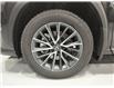 2025 Lexus NX 250 Base (Stk: 14108897) in Markham - Image 11 of 15