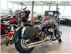2004 Suzuki VL800  (Stk: 10699) in Carleton Place - Image 3 of 16