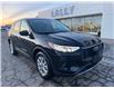 2025 Ford Escape Active (Stk: LFEP00709) in Tilbury - Image 1 of 15