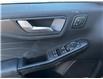2025 Ford Escape Active (Stk: LFEP00709) in Tilbury - Image 6 of 15