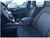 2025 Ford Escape Active (Stk: LFEP00709) in Tilbury - Image 7 of 15