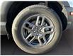 2025 Ford Bronco Sport Big Bend (Stk: 11884) in Golden - Image 16 of 17