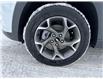 2025 Chevrolet Trax LT (Stk: 25058) in Green Valley - Image 15 of 15