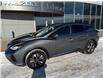 2019 Nissan Murano SV (Stk: 24264) in Pembroke - Image 3 of 30