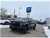 2025 Chevrolet Silverado 1500 LT Trail Boss (Stk: TS192968) in Caledonia - Image 1 of 60