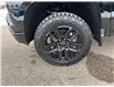 2025 Chevrolet Silverado 1500 LT Trail Boss (Stk: TS192968) in Caledonia - Image 12 of 60