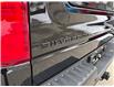 2025 Chevrolet Silverado 1500 LT Trail Boss (Stk: TS192968) in Caledonia - Image 15 of 60