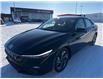 2025 Hyundai Elantra Luxury w/Two-Tone Interior (Stk: 25-154) in Prince Albert - Image 1 of 17