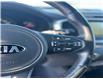 2018 Kia Sorento 3.3L SX (Stk: B0455C) in Saskatoon - Image 17 of 38