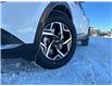 2025 Kia Sportage LX (Stk: 25097) in Petawawa - Image 2 of 24