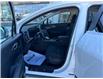 2025 Kia Sportage LX (Stk: 25097) in Petawawa - Image 8 of 24