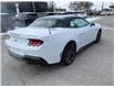 2025 Ford Mustang GT Premium (Stk: VFMU00405) in Chatham - Image 4 of 18