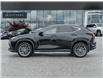 2024 Lexus NX 350  (Stk: 15U3059) in Richmond Hill - Image 3 of 27