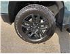 2025 Chevrolet Silverado 1500 LT Trail Boss (Stk: TS197105) in Caledonia - Image 12 of 64