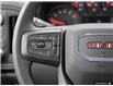 2025 GMC Sierra 1500 Pro (Stk: 169339) in London - Image 18 of 27