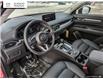 2025 Mazda CX-5 GS (Stk: 14-25164) in London - Image 14 of 26