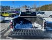 2024 RAM 1500 Rebel (Stk: AB173225) in Abbotsford - Image 9 of 23