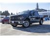 2024 Ford F-150 XLT (Stk: 24F10058) in Vancouver - Image 3 of 24