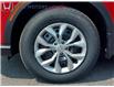 2025 Honda CR-V LX (Stk: 17-25-0523) in Ottawa - Image 17 of 23