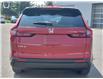 2025 Honda CR-V LX (Stk: 17-25-0523) in Ottawa - Image 19 of 23